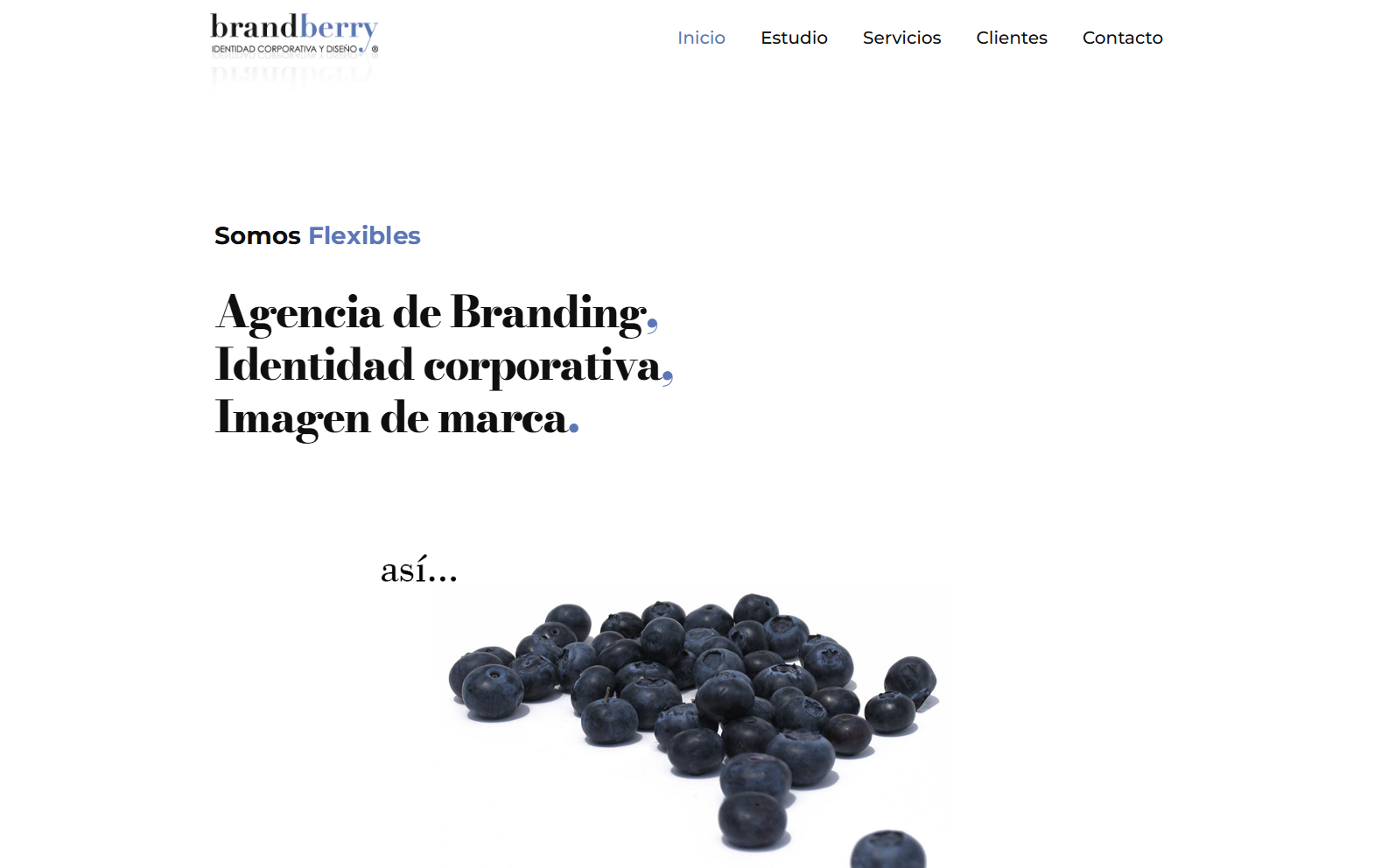 Brandberry: portada de la web